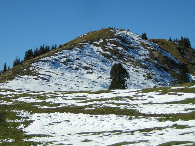 07Hirschhoerndl