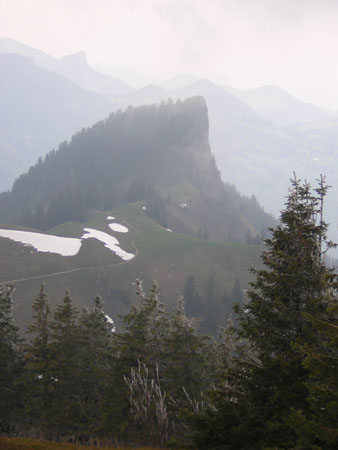 10Hochlerch