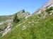 05Blick-zur-Kraehe
