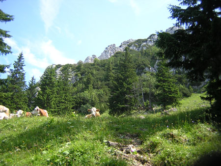 10Hochsalwand
