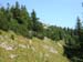 05Hochsalwand