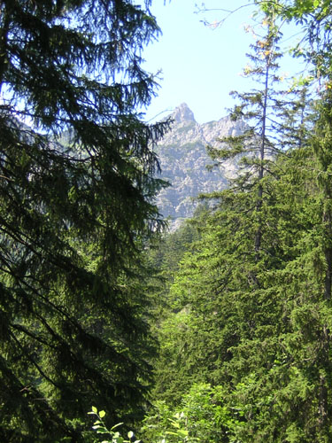 01Hahnbichelsteig