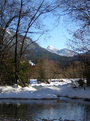 02Ross-und-Buchstein