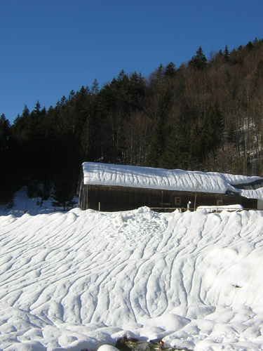 05Rehgraben-Alm