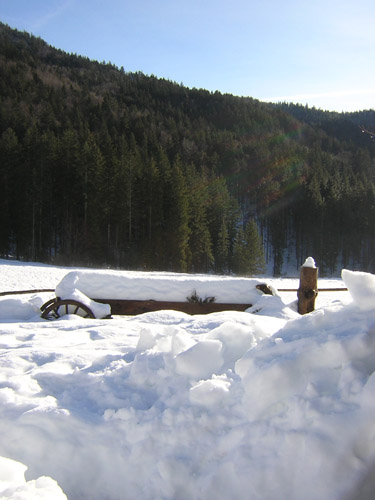 06Rehgraben-Alm