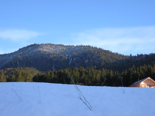 11Hoher_Zwiesler