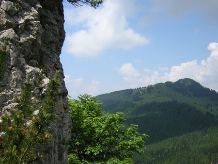 02Fockenstein