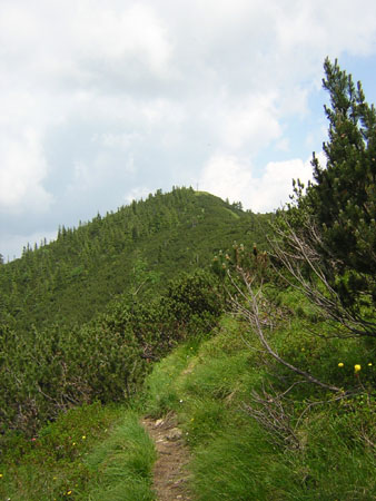 04Ochsenkamp