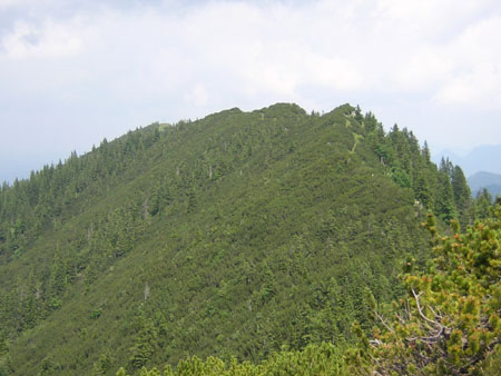 11Blick-zurueck-zum-Ochsenkamp