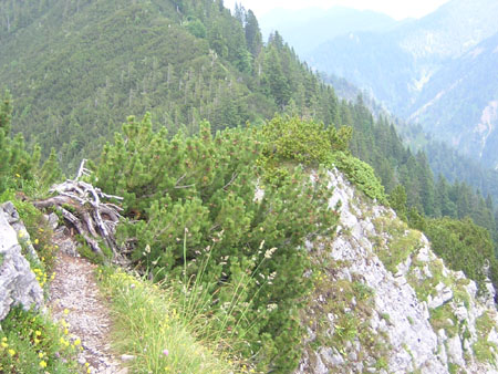 13Gipfel-des-Spitzkamp