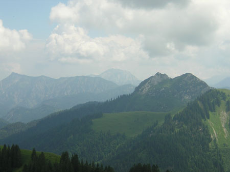 15Ross-und-Buchstein