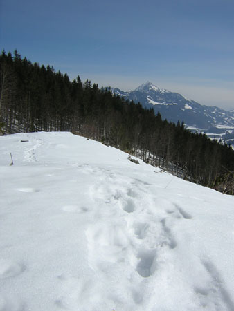 03auf-dem-Kellnerberg