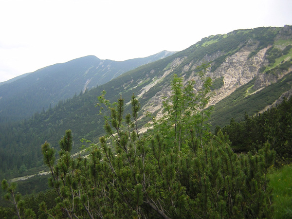 06Felderkopf
