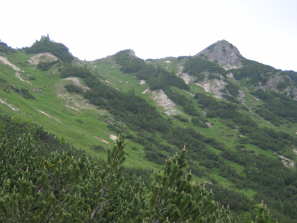 08Kienjoch