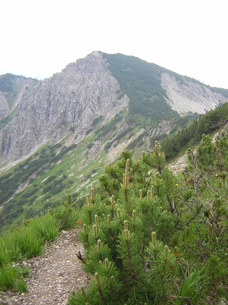 10Kieneckspitz