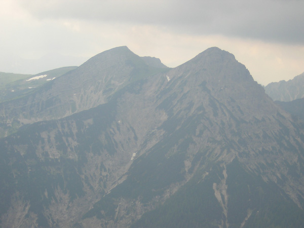14Geierkoepfe