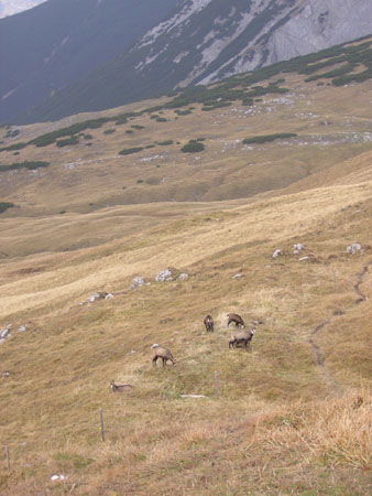 07AufDemMahnkopf