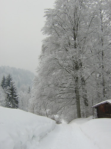 01nach-Wamberg