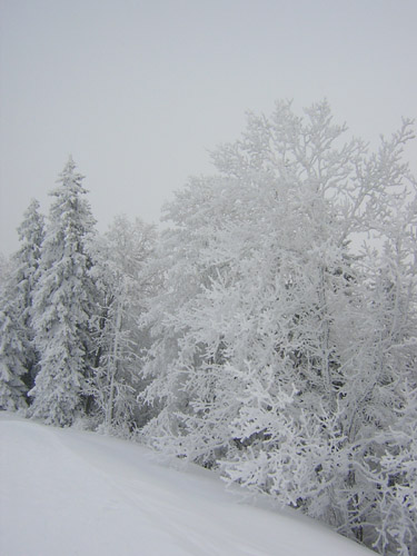 03Winterkaelte