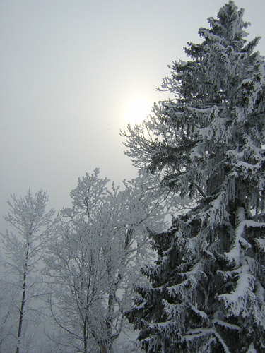 04Sonnenlicht