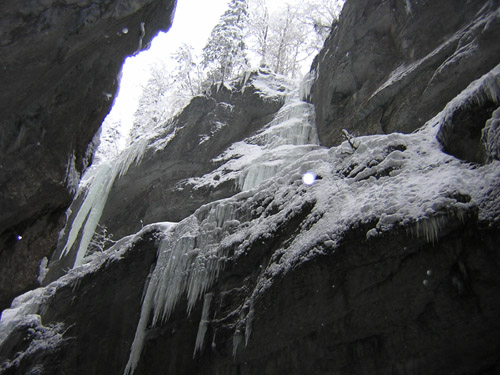 09Blick-nach-oben