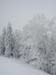 03Winterkaelte