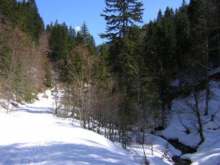 03Laubergraben