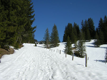 05_1300m