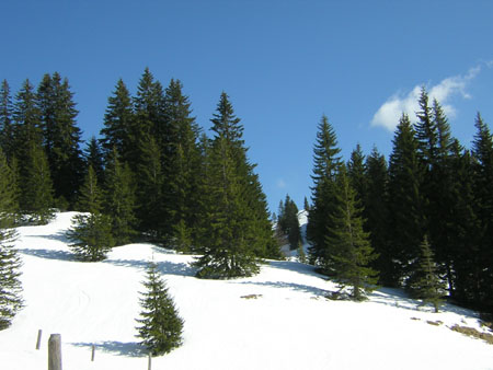 06amWeg