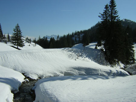09NiederkaserAlm