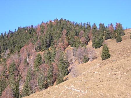 05Rabenkopf