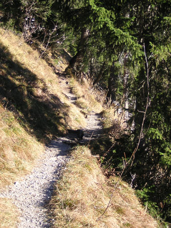 14Weg