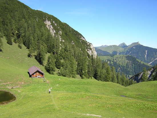Dristlalm