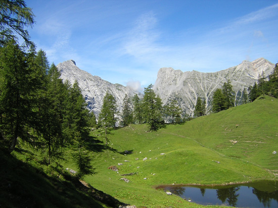 DristlalmMitSonnjoch