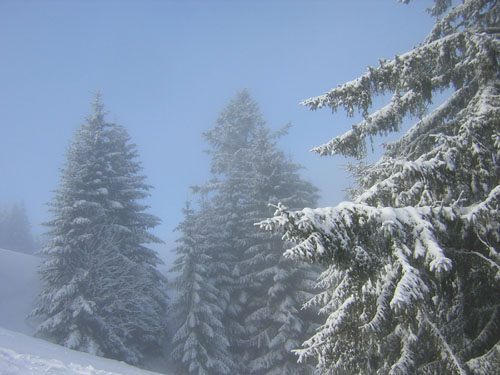 08Sonne