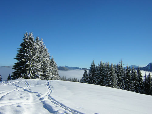 16Sonnenschein
