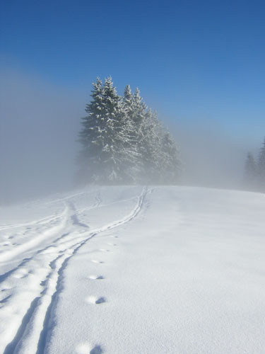 17Nebel