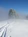 17Nebel