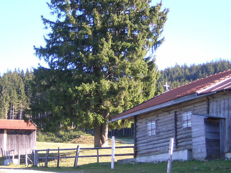 04SchwaigerAlm