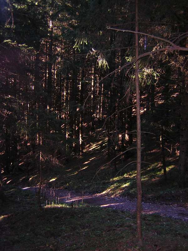 07Licht-und-Schatten