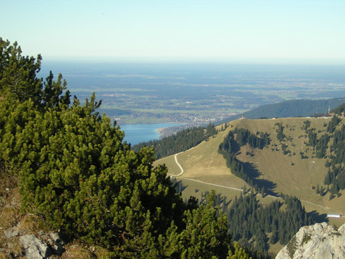 08Wallberg