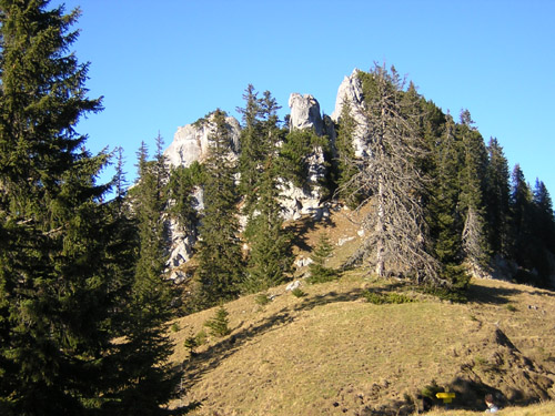 15Schreistein