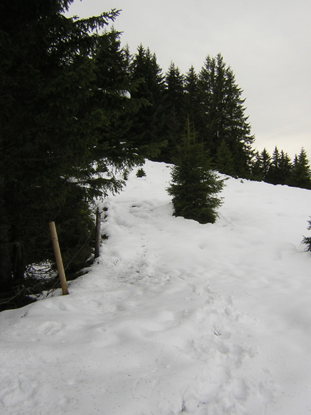 04im-Schnee