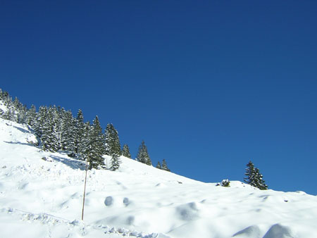 01an-der-Rotwand