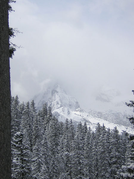 12Alpspitze
