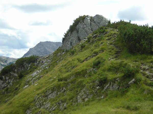 06Scheinberg