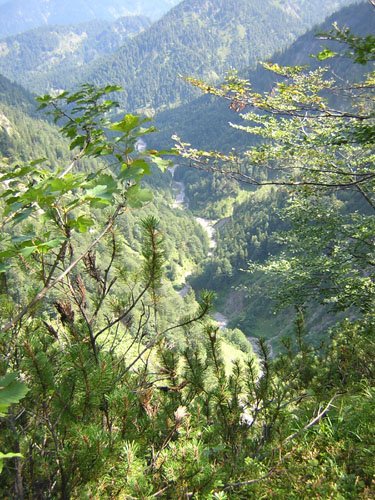 02Wolfschlucht-von-oben
