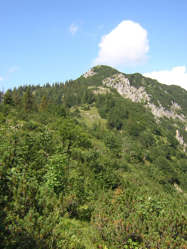 03Schildenstein