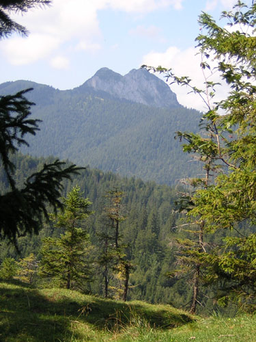 09Ross-und-Buchstein