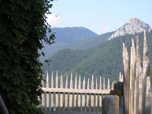 12Blick-zum-Leonhardstein